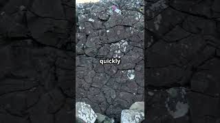 Igneous vs Metamorphic Rocks Whats the Difference [upl. by Gujral817]