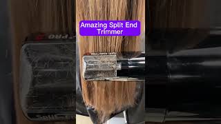 Split Ends No More 😱 HAIR TRANS PROOF [upl. by Esinel908]