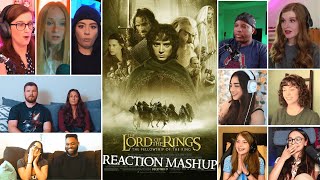 Fellowship of the Ring Reaction Mashup  Lord of the Rings [upl. by Nauquf]