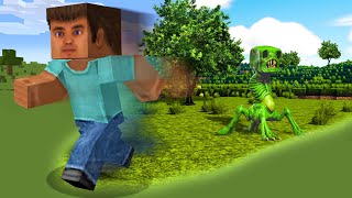 If I Touch Grass Minecraft Gets More Realistic [upl. by Gehman]