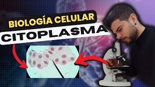 BIOLOGÍA CELULAR el CITOPLASMA [upl. by Ennelram5]