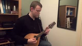 The Lilting Banshee Traditional Irish Jig played by Tom Lloyd Paul Shippey Mandolin [upl. by Oek]