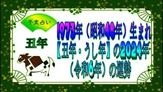 干支占い  1973年（昭和48年）生まれ【丑年・うし年】の2024年（令和6年）の運勢 [upl. by Ahsetel]