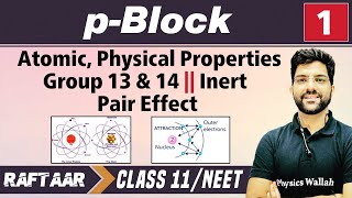 pBlock 01  Atomic Physical Properties Group 13 amp 14  Inert Pair Effect  Class 11NEET [upl. by Atnwahsal483]