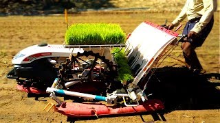 Yanmar rice plant transplanter TRACTOR  Technology Rice Transplantation machine tractor [upl. by Smith219]