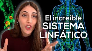 El increíble y olvidado SISTEMA LINFÁTICO [upl. by Pierce855]