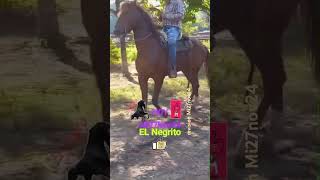 Parte 2 mi27nov24 El Negrito [upl. by Elleryt352]