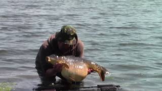 A Big Cheshire Mere CARP [upl. by Vasili]