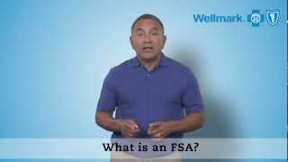 Understanding FSAs [upl. by Marquet]