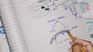 Meninges Dura matter part 1 divisions nerve and blood supply neuroanatomy [upl. by Nagrom]