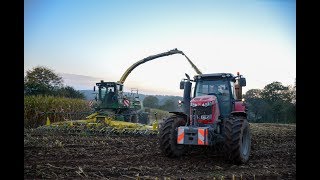 Ensilage maïs 2017 I John Deere 7950i I Agri Tantel [upl. by Pacheco]