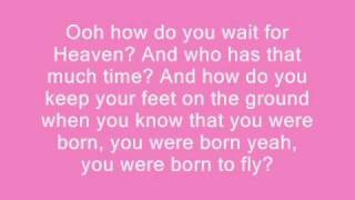 Sara Evans Born To Fly lyrics [upl. by Juetta590]