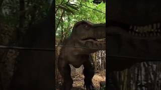 jollywood banglore dinosaur nallafun kidsfamilytime pk [upl. by Haibot349]