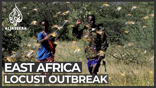 Locust swarms threatens East Africas crops [upl. by Leuname]