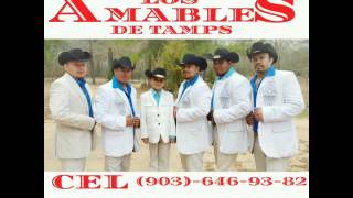 LOSAMABLES DE TAMPSEL PURO SABOR [upl. by Reemas]