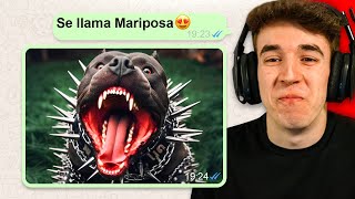 ADOPTA MI PERRO 😍  LA CONVERSACION de WHATSAPP MAS RANDOM 6 [upl. by Kcirdes]