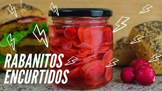 Receta de ENCURTIDO DE RABANITO 💯  Rápido y Fácil [upl. by Abrahams391]