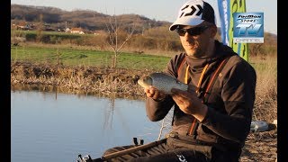 UŽIVO SA VODE  feeder pecanje babuške i šarana sa Darkom Todosijevićem [upl. by Sophronia850]