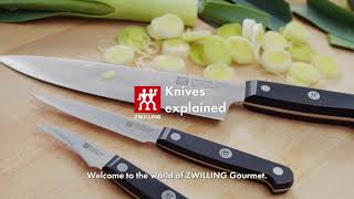 ZWILLING Knife Explained [upl. by Nniuq967]