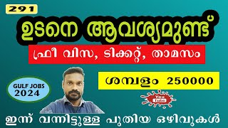 Dubai Job Vacancy Malayalam 2024  UAE Job Vacancy  Gulf Job Vacancy Malayalam  New Gulf Job [upl. by Elatan]