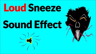 Loud Sneeze Sound Effect [upl. by Eerac]