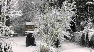 2010 The Day After Christmas Snow Storm In Raleigh [upl. by Yreved]