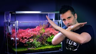 AQUARIUM UPDATE  MAKE YOUR PLANTED TANK BETTER IN MINUTES [upl. by Nanice]