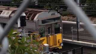 Sydney Trains Vlog 20 S Sets [upl. by Gisser]