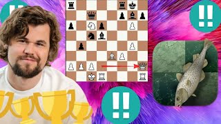 Magnus Carlsen vs Stockfish chess game 21 [upl. by Bearnard81]