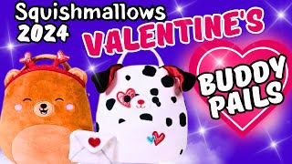 Squishmallow Valentines Buddy Buckets  Hunting For Valentines Day Squishmallows 2024 [upl. by Ellivnarg]