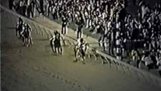 SECRETARIAT  1973 Preakness Stakes Alternate Footage [upl. by Dane]