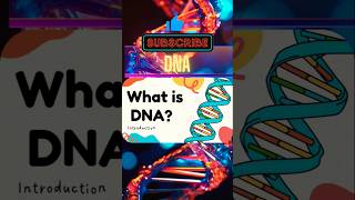 What is DNA 🧑‍🔬 dna biology discover [upl. by Aerdnua789]