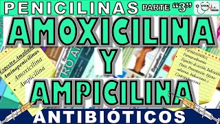 AMOXICILINA PARA QUE SIRVE ESTE MEDICAMENTO AMOXICILINA Y AMPICILINA  GuiaMed [upl. by Orran23]