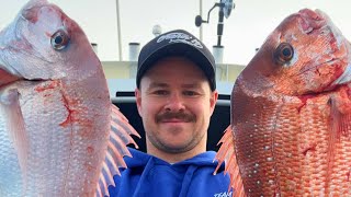 SNAPPER  Barwon Heads November 23 Fish are thick [upl. by Anairda]