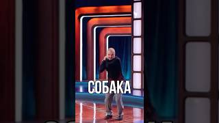 Собака 😹😹 [upl. by Sink]