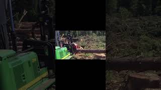 Heavy Duty Logging Machinery  Forestry Tree Cutting Equipment [upl. by Kuehnel]