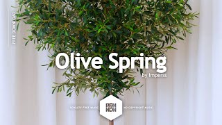 Royalty Free Music Happy Upbeat Olive Spring  Imperss Background Music For Videos No Copyright [upl. by Adkins265]