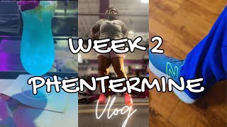 Phentermine Week 2 Results Weight Loss Update  Half Marathon Training VLOG [upl. by Grimona660]