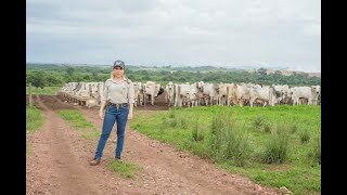 Pecuária de ciclo completo Como uma pecuarista está fazendo a diferença [upl. by Nad]