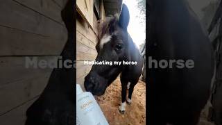 Medicating my horse horse horsecare equestrian [upl. by Travis833]