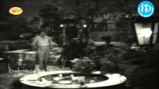 Mangalya Balam Movie Songs  Penucheekataaye Lokam Song  Nageshwar Rao  Savithri  SV Ranga Rao [upl. by Ulla]