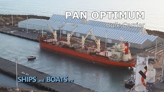 Pan Optimum  Bulk Carrier  Napier New Zealand [upl. by Cyrill591]