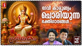 Sreelakam  ശ്രീലകം  Super Hit Devi Devotional Songs  Madhu Balakrishnan  Biju Narayanan [upl. by Ranip]