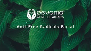 Pevonia Anti Free Radicals Facial [upl. by Astiram]