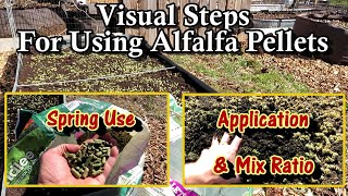 Using Alfalfa Pellets as a Spring Amendment for Raised amp Earth Beds amp Containers Visual Steps [upl. by Esinaj]