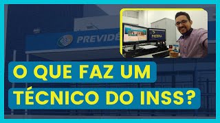 O que faz um técnico do INSS [upl. by Oilut]