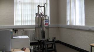 Running an NMR spectrum [upl. by Jet923]