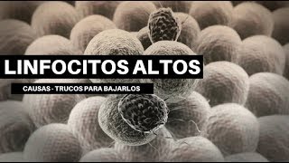 LINFOCITOS ALTOS Causas y formas de bajarlos [upl. by Barfuss]