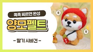 【WN009】🍓DIY 양모 니들 펠트 키트 입문 시작하기🍓 가성비 취미 l wool needle felting l handmade [upl. by Reeta]