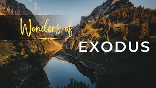 Wonders of Exodus [upl. by Annil]